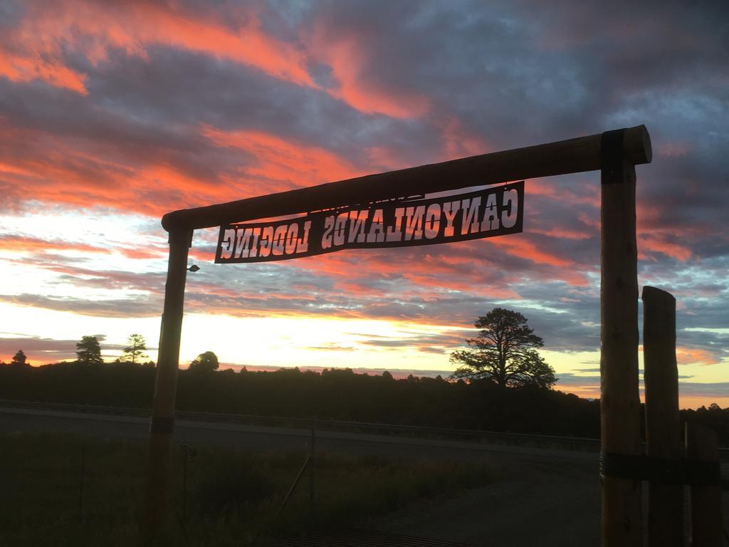 Vila Primrose Cabin Glamour Camping, Hot Showers, Stunning Night Sky Monticello Exteriér fotografie